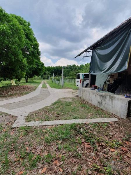 Picture of Land and Farm for sale in Rosario in Batangas