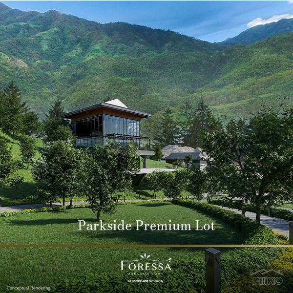 Residential Lot for sale in Balamban - image 5