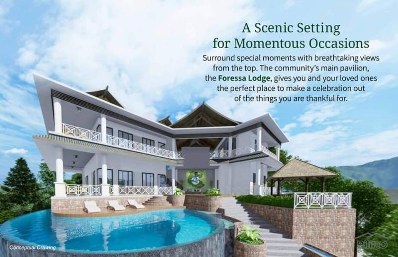 Residential Lot for sale in Balamban - image 8