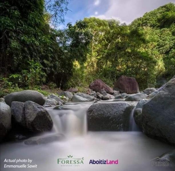 Residential Lot for sale in Balamban - image 9