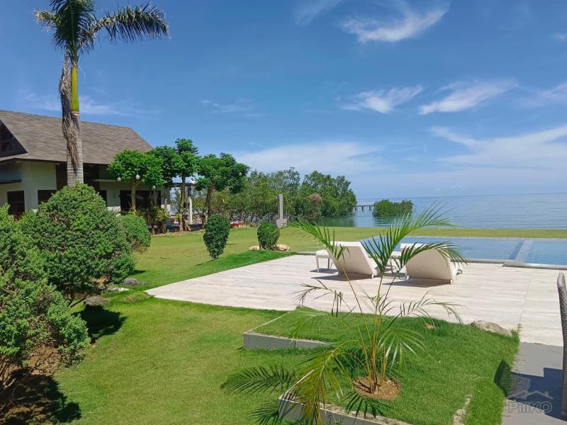 1 bedroom House and Lot for sale in Danao - image 4