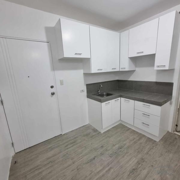 1 bedroom Condominium for sale in Quezon City - image 2