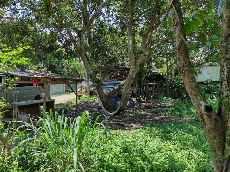 Residential Lot for sale in San Pablo - image 3