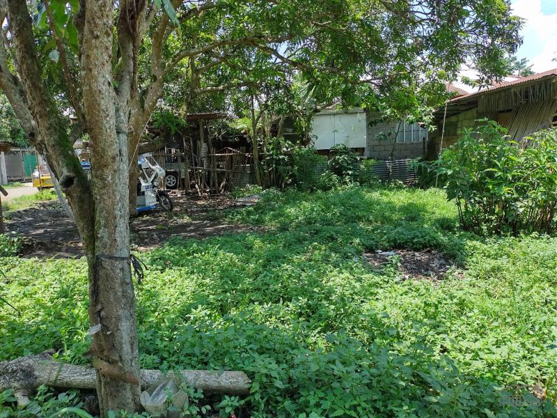 Residential Lot for sale in San Pablo - image 4