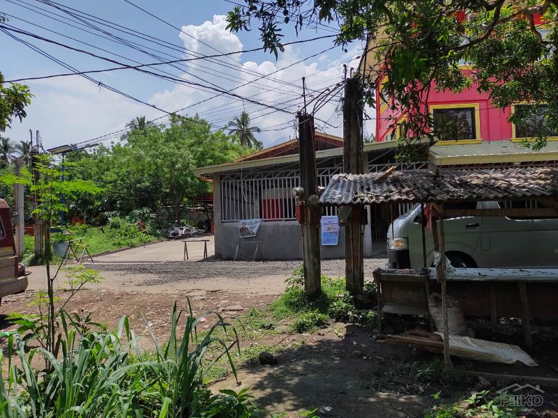 Picture of Residential Lot for sale in San Pablo in Philippines