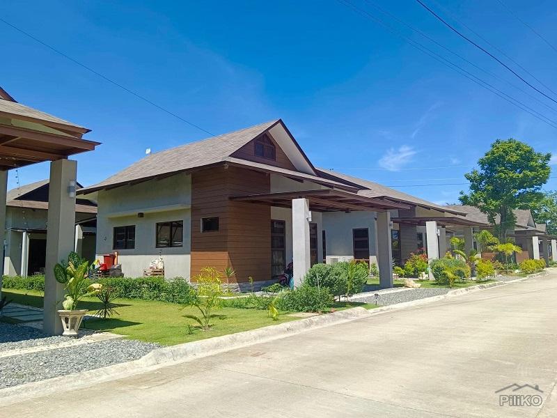 Pictures of 1 bedroom House and Lot for sale in Danao