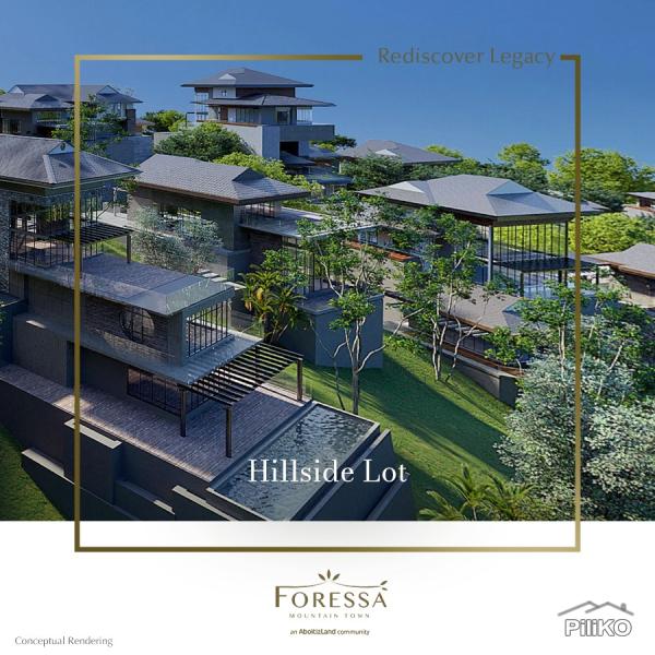 Residential Lot for sale in Balamban - image 2