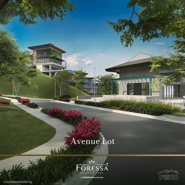 Residential Lot for sale in Balamban - image 3