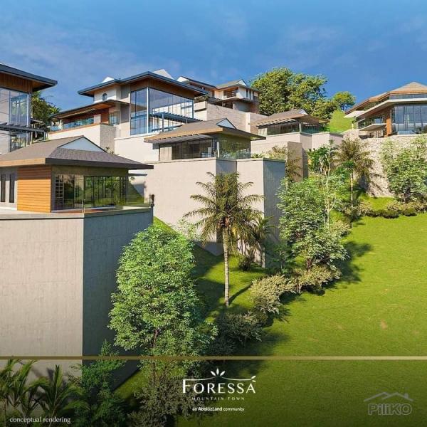 Residential Lot for sale in Balamban - image 4