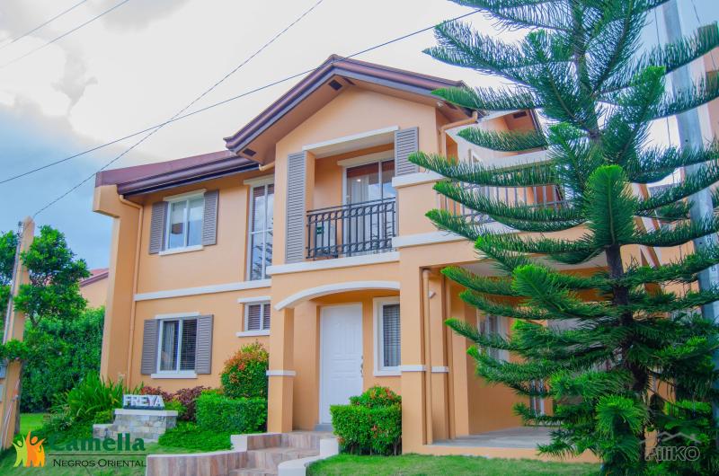 5 bedroom House and Lot for sale in Dumaguete - image 2