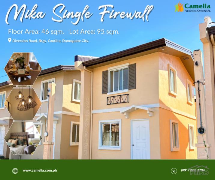 Pictures of 2 bedroom House and Lot for sale in Dumaguete