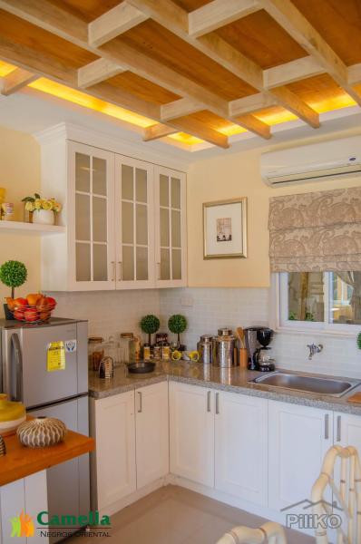 3 bedroom House and Lot for sale in Dumaguete - image 8