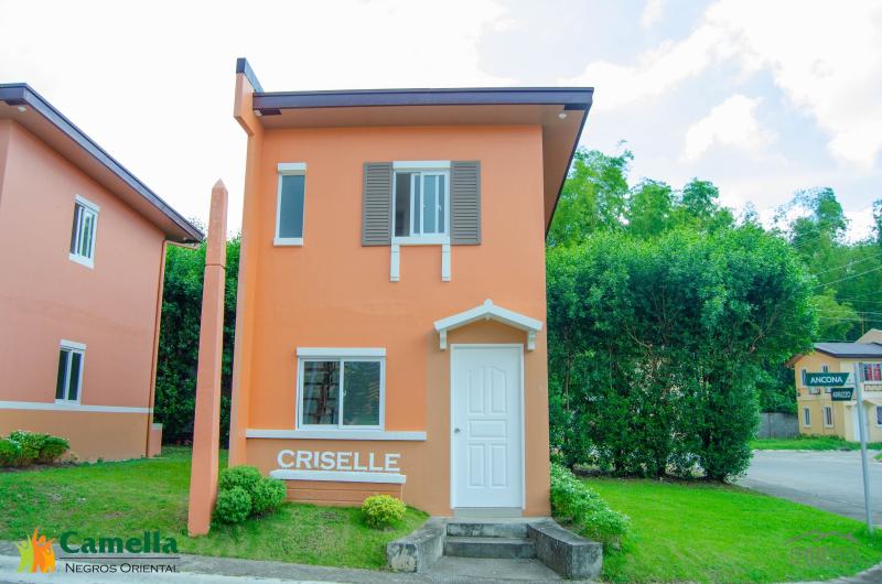 2 bedroom House and Lot for sale in Dumaguete - image 2