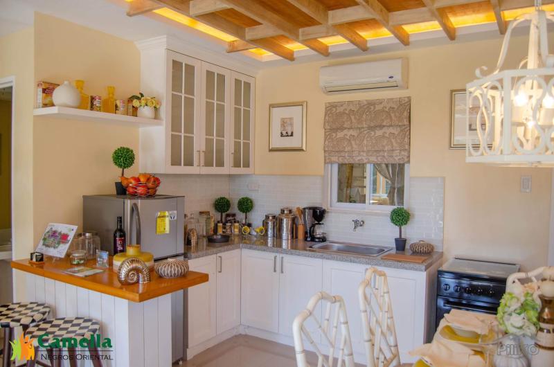 3 bedroom House and Lot for sale in Dumaguete - image 2