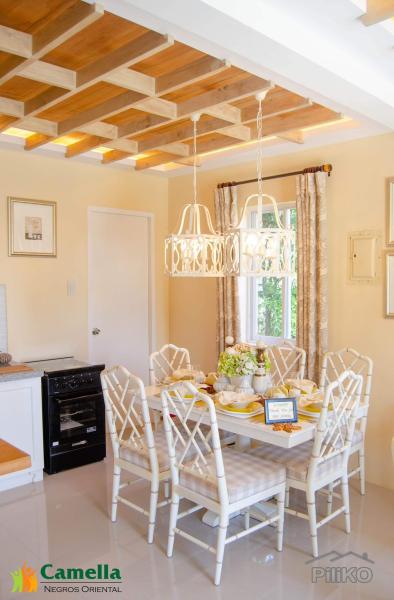 3 bedroom House and Lot for sale in Dumaguete - image 4