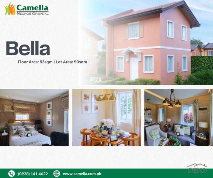 Pictures of 2 bedroom House and Lot for sale in Dumaguete
