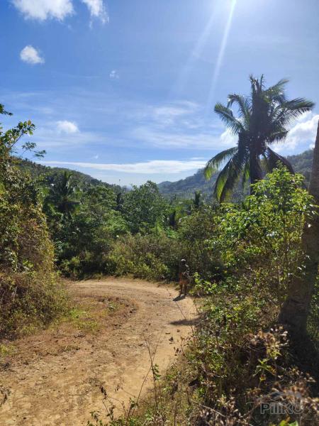 Land and Farm for sale in San Juan in Philippines
