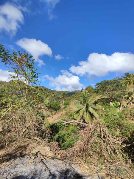 Picture of Land and Farm for sale in San Juan in Batangas