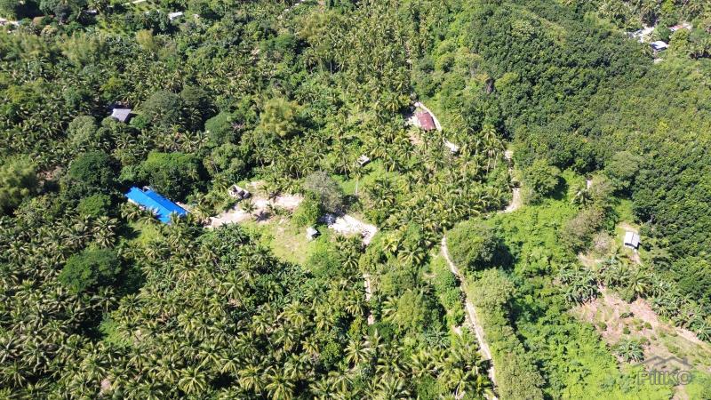 Agricultural Lot for sale in Rosario in Batangas