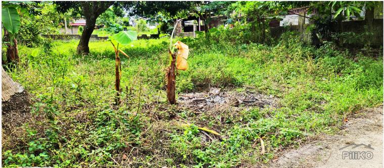 Lot for sale in Rosario in Batangas