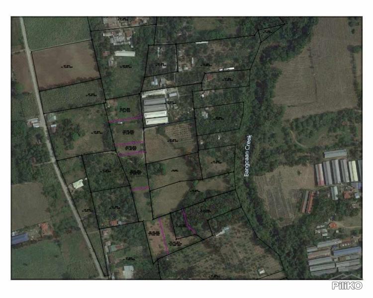 Lot for sale in San Jose - image 2