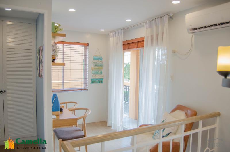 5 bedroom House and Lot for sale in Dumaguete - image 6