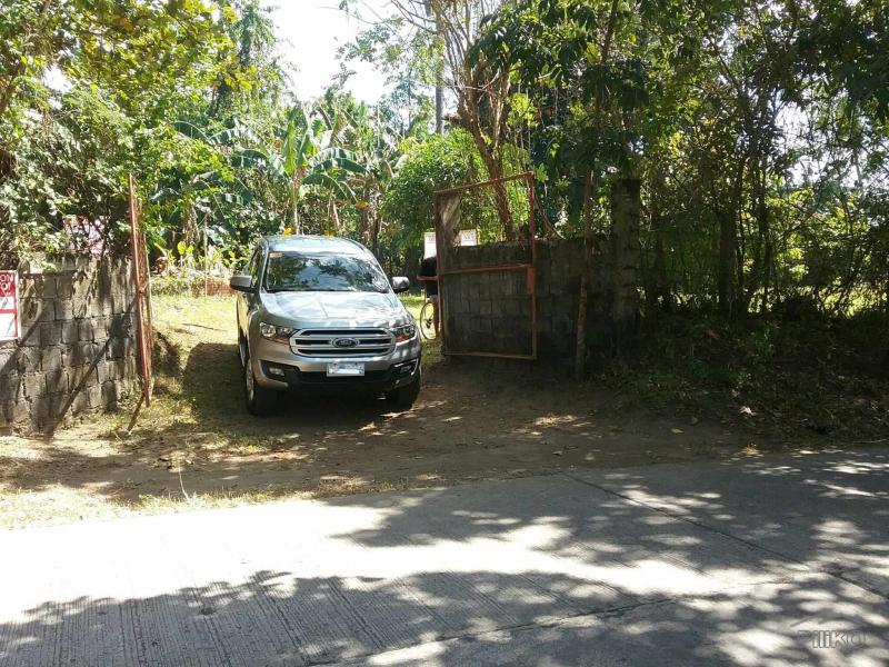 Agricultural Lot for sale in Talisay - image 10