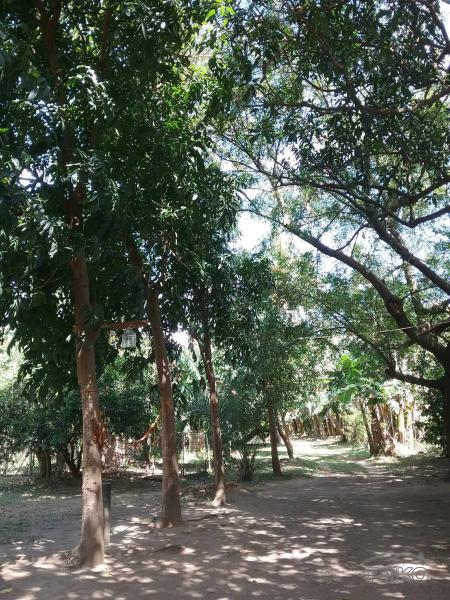 Agricultural Lot for sale in Talisay - image 17