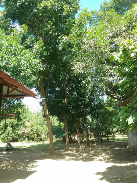 Agricultural Lot for sale in Talisay - image 19