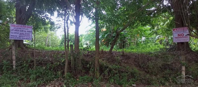 Picture of Agricultural Lot for sale in Talisay
