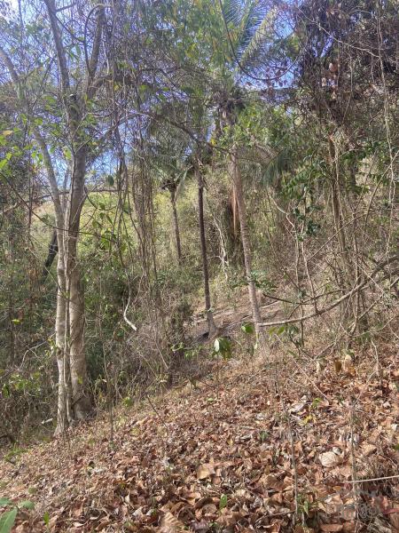 Agricultural Lot for sale in Rosario - image 2