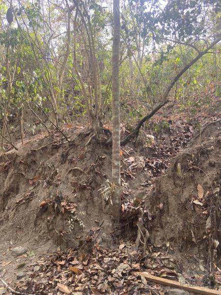 Agricultural Lot for sale in Rosario - image 6