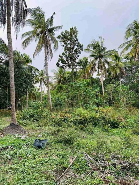 Lot for sale in Rosario in Philippines