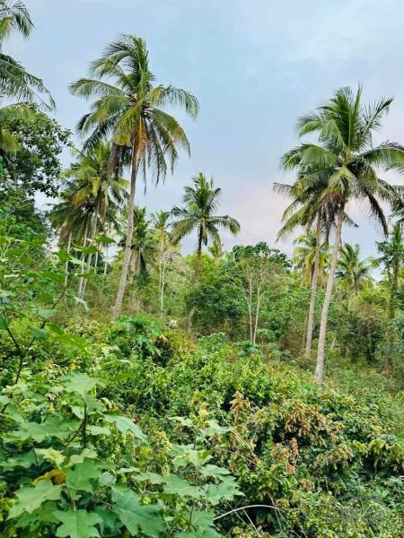 Picture of Lot for sale in Rosario in Philippines