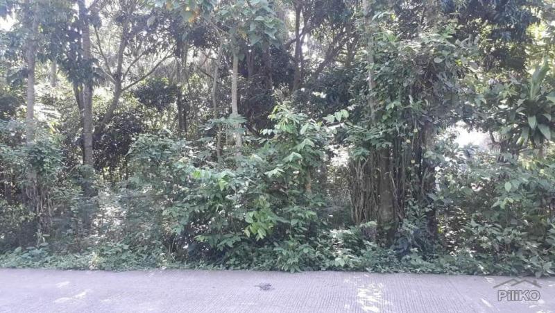 Lot for sale in Rosario in Batangas - image