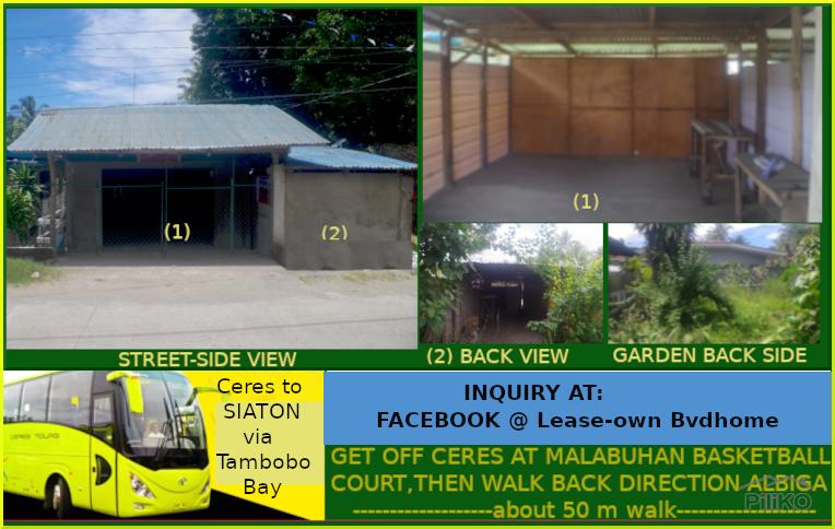 Picture of Lot for rent in Siaton