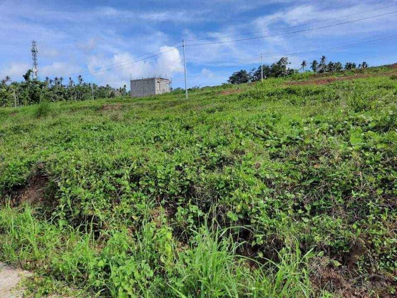 Lot for sale in Ligao - image 2