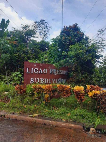 Lot for sale in Ligao - image 3