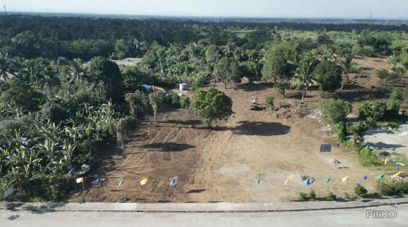 Residential Lot for sale in Amadeo - image 2