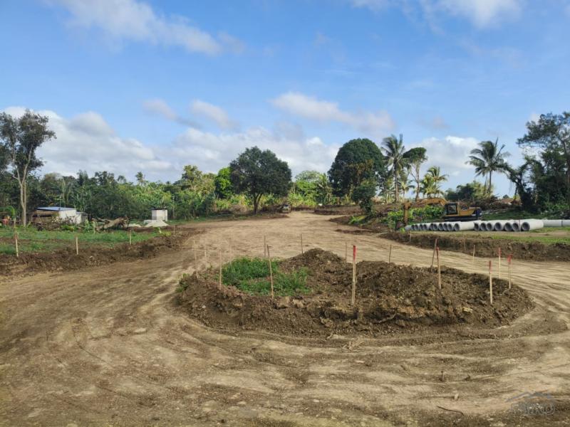 Residential Lot for sale in Amadeo - image 3