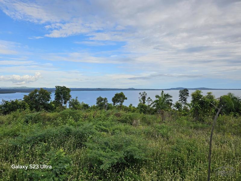 Agricultural Lot for sale in Maribojoc - image 10