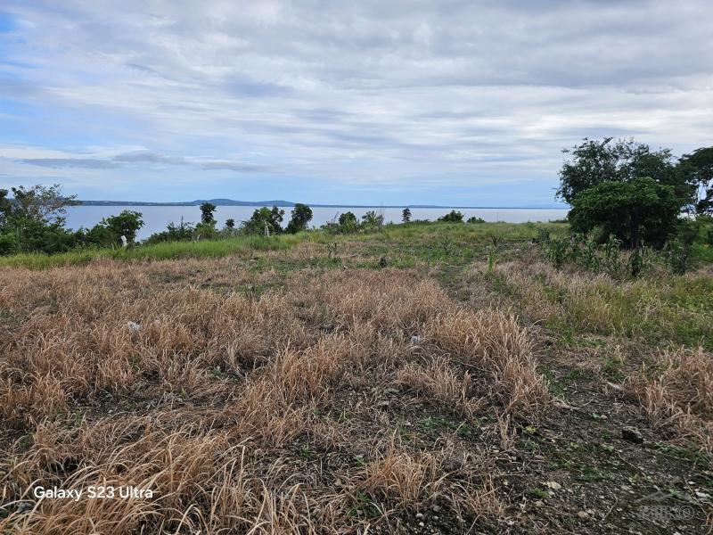 Agricultural Lot for sale in Maribojoc in Bohol