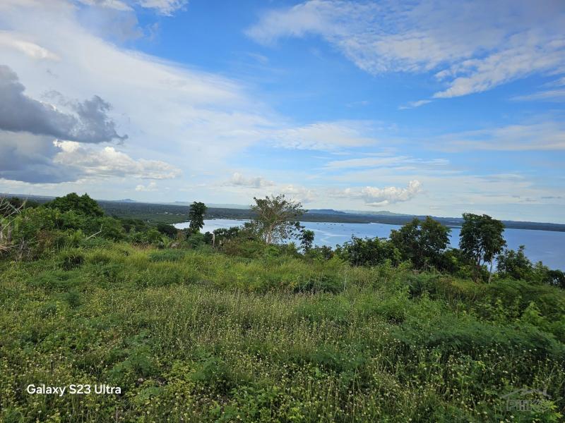 Agricultural Lot for sale in Maribojoc in Philippines
