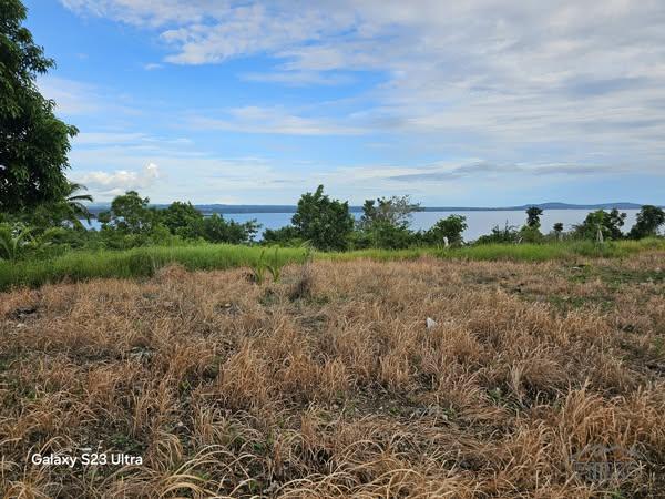 Picture of Agricultural Lot for sale in Maribojoc in Philippines