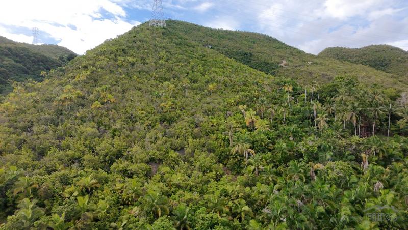 Agricultural Lot for sale in Maribojoc in Bohol - image