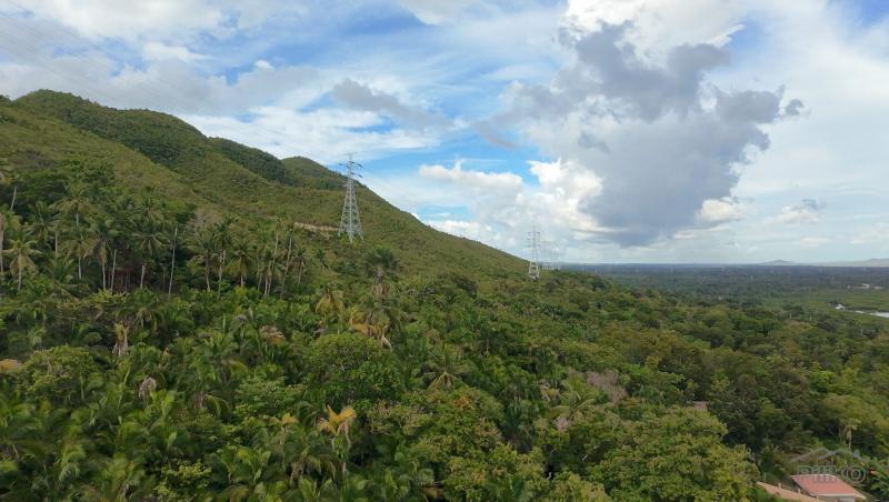 Agricultural Lot for sale in Maribojoc in Philippines - image