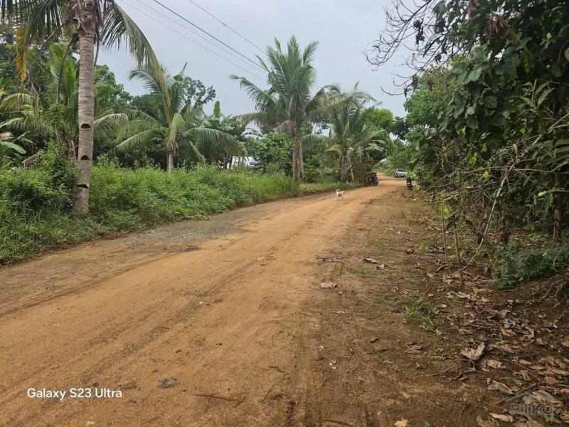 Picture of Agricultural Lot for sale in Trinidad
