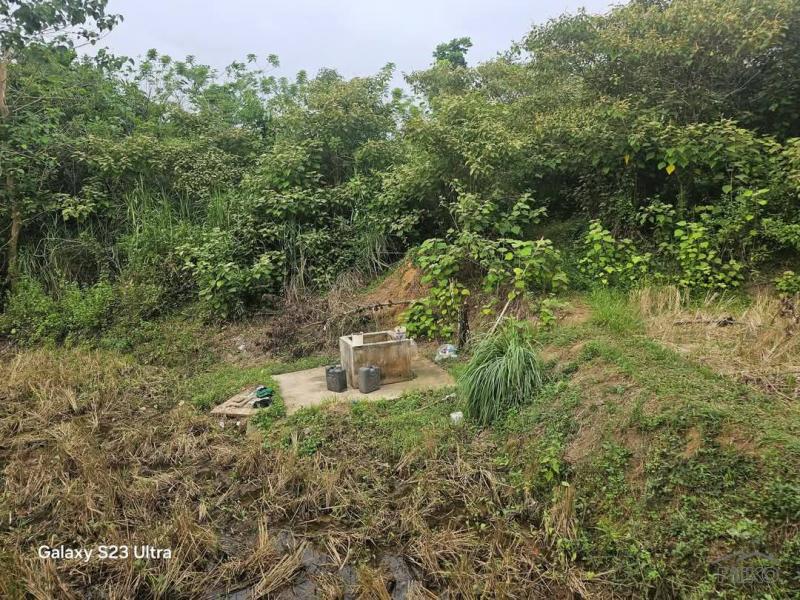 Agricultural Lot for sale in Trinidad in Bohol