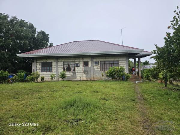 Picture of Agricultural Lot for sale in Guindulman