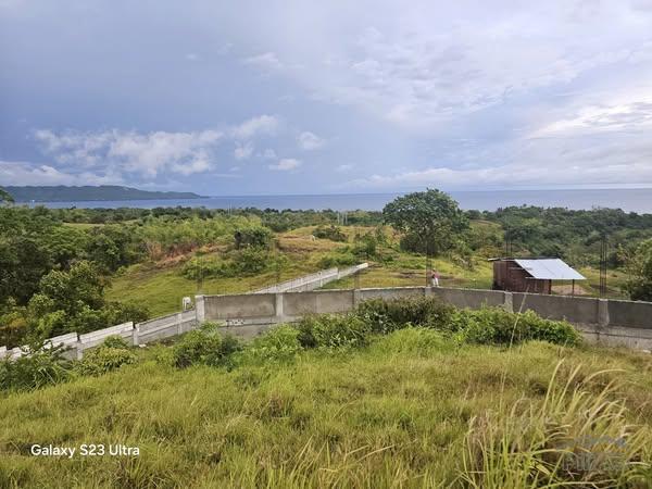 Agricultural Lot for sale in Guindulman